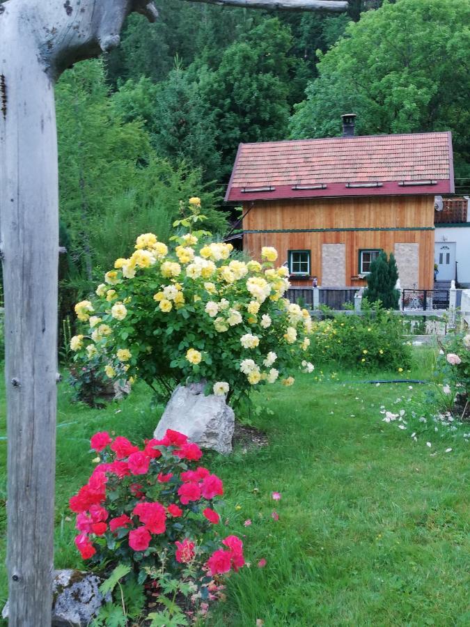 Georges Rast Villa Altaussee Exteriör bild