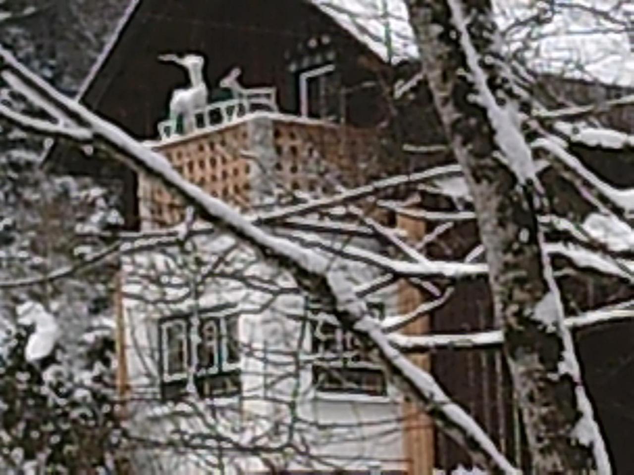 Georges Rast Villa Altaussee Exteriör bild