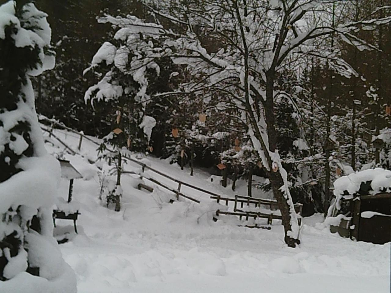 Georges Rast Villa Altaussee Exteriör bild