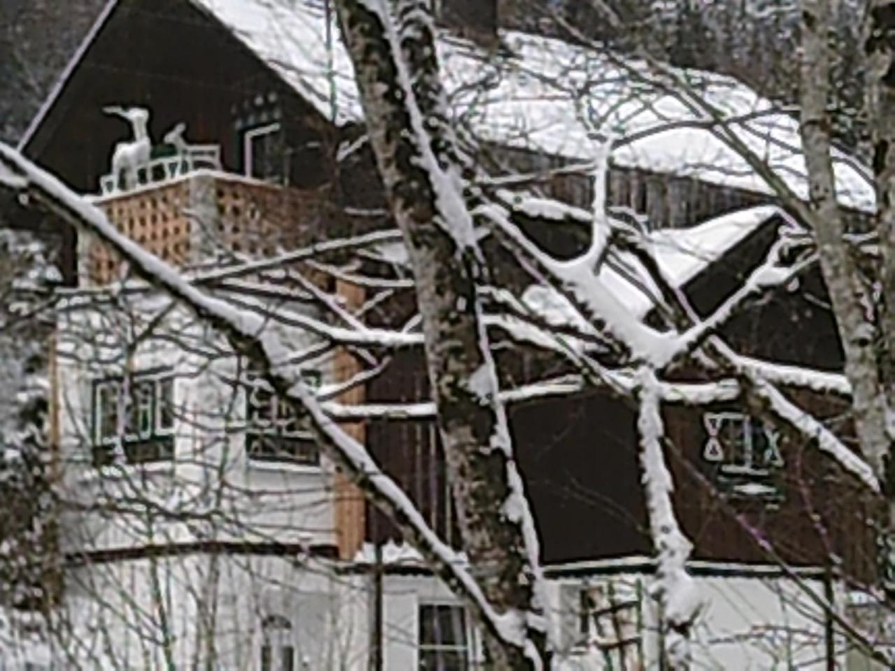 Georges Rast Villa Altaussee Exteriör bild